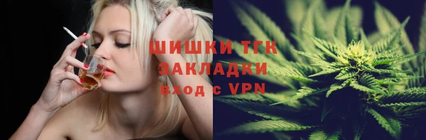spice Алзамай